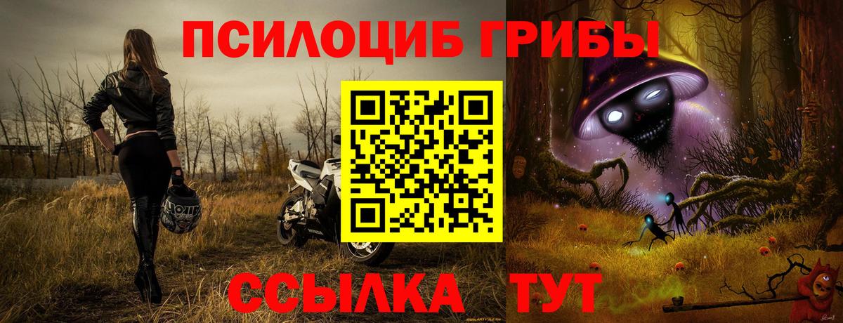 Феодосия  Псилоцибиновые грибы Cubensis  Вход с VPN  Галлюциногенные грибы ЛСД 